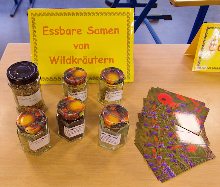 &copy; www.mutbuergerdokus.de: 9. 'Saatgut-Festival D&uuml;sseldorf'