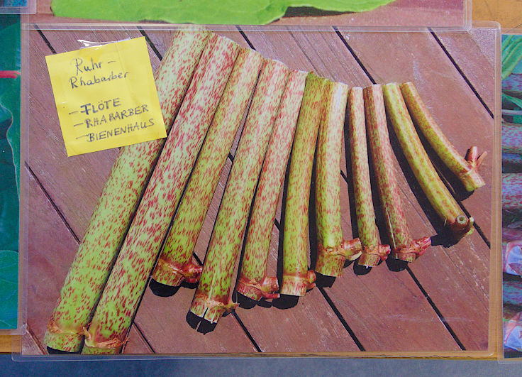 &copy; www.mutbuergerdokus.de: 9. 'Saatgut-Festival D&uuml;sseldorf'