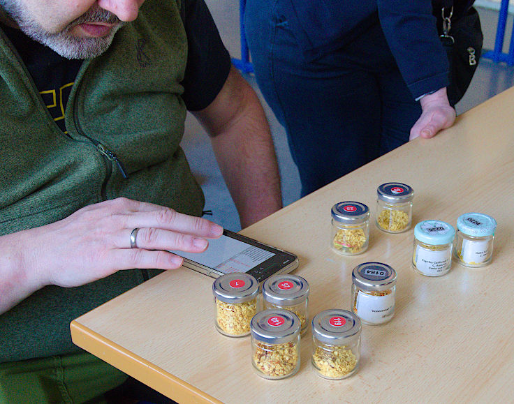 &copy; www.mutbuergerdokus.de: 9. 'Saatgut-Festival D&uuml;sseldorf'