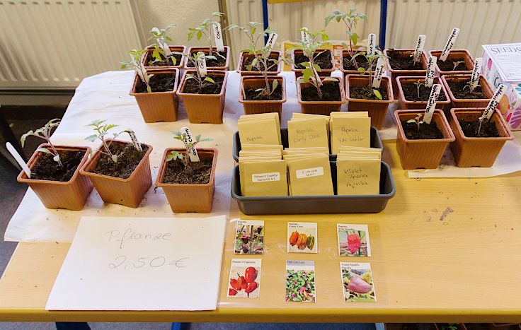 &copy; www.mutbuergerdokus.de: 9. 'Saatgut-Festival D&uuml;sseldorf'