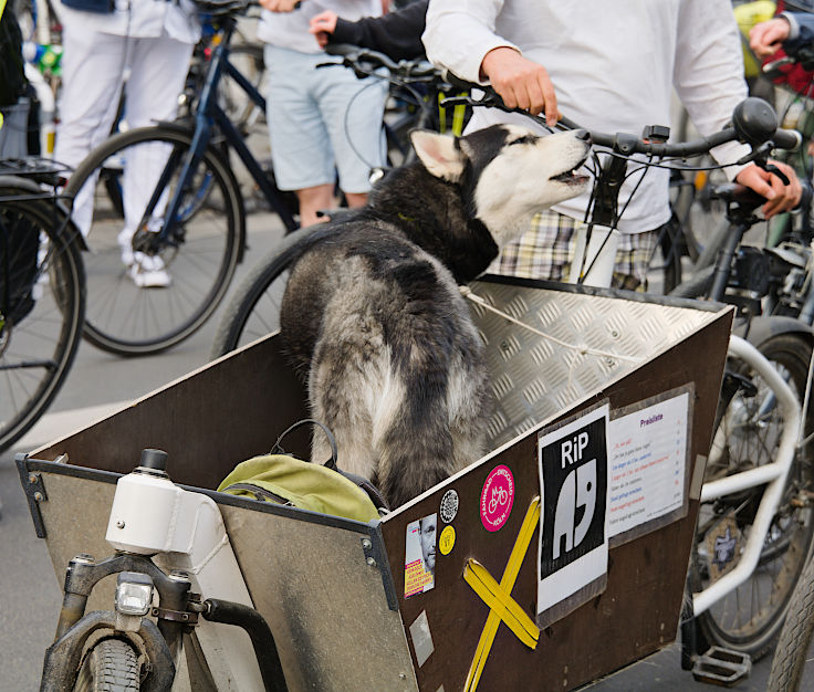 © www.mutbuergerdokus.de: ADFC Köln: 9. 'Ride of Silence'
