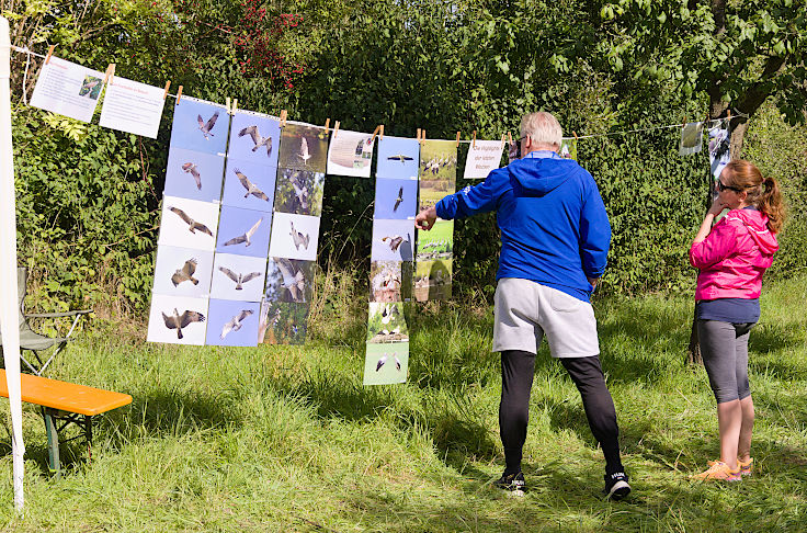 © www.mutbuergerdokus.de: Tag des offenen Denkmals: Aktionstag auf Haus Bürgel © www.mutbuergerdokus.de: Tag des offenen Denkmals: Aktionstag auf Haus Bürgel