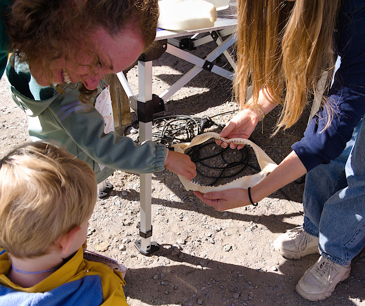 © www.mutbuergerdokus.de: Tag des offenen Denkmals: Aktionstag auf Haus Bürgel © www.mutbuergerdokus.de: Tag des offenen Denkmals: Aktionstag auf Haus Bürgel