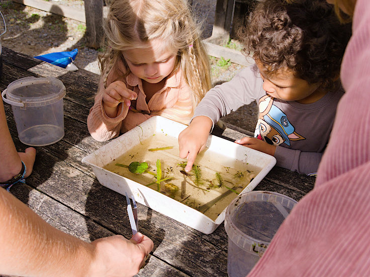 &copy; www.mutbuergerdokus.de: Tag des offenen Denkmals: Aktionstag auf Haus B&uuml;rgel