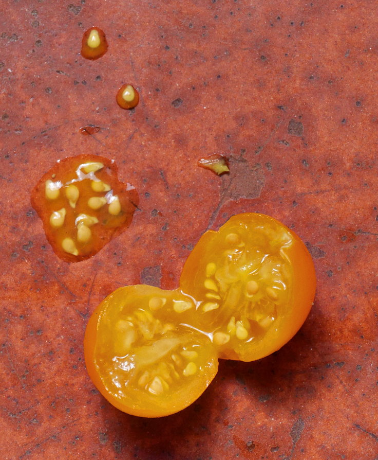 © www.mutbuergerdokus.de: Samenfeste Tomaten selbst angebaut - eine private 'Revolution auf dem Balkon' (Sorte: 'Sunviva')