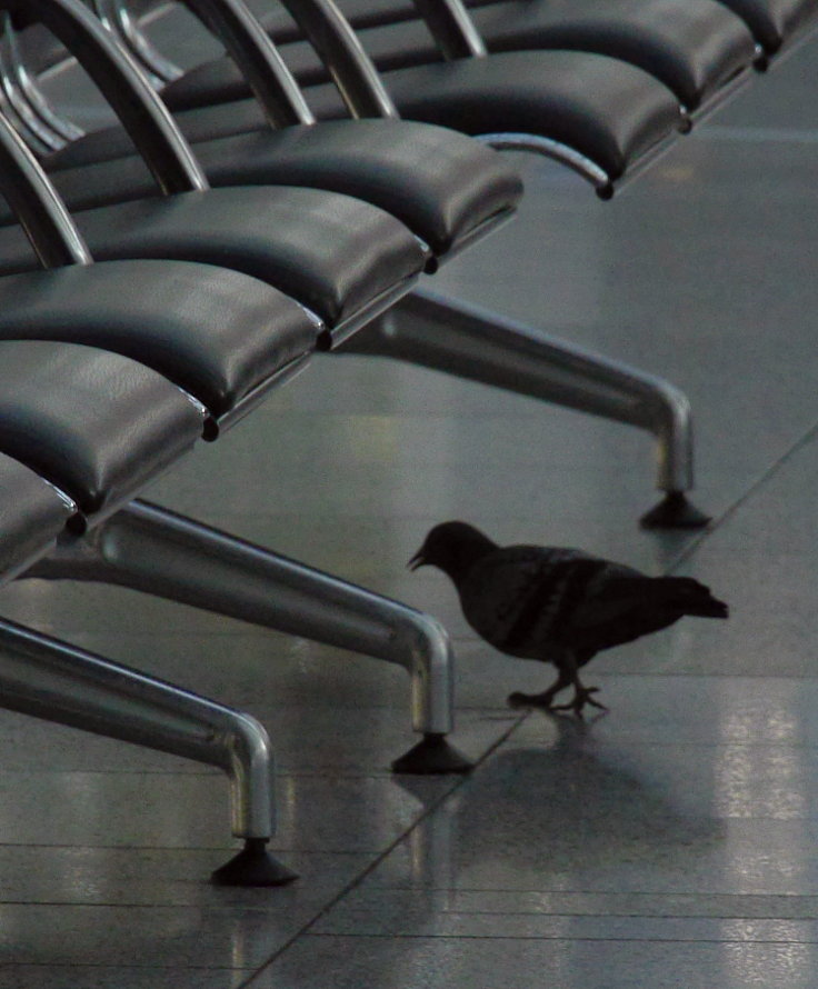 © www.mutbuergerdokus.de: Corona Lockdown: Ein Flughafen bleibt am Boden