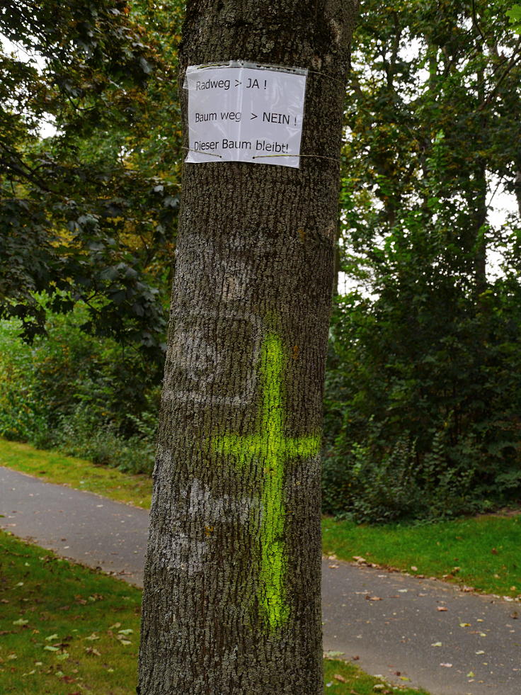 © www.mutbuergerdokus.de: Verbreiterung des Rheinradwegs bei Bonn Beuel