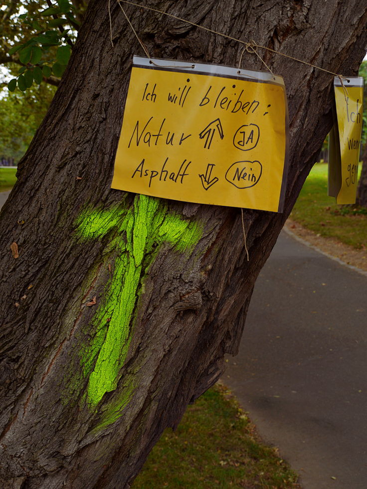 © www.mutbuergerdokus.de: Verbreiterung des Rheinradwegs bei Bonn Beuel