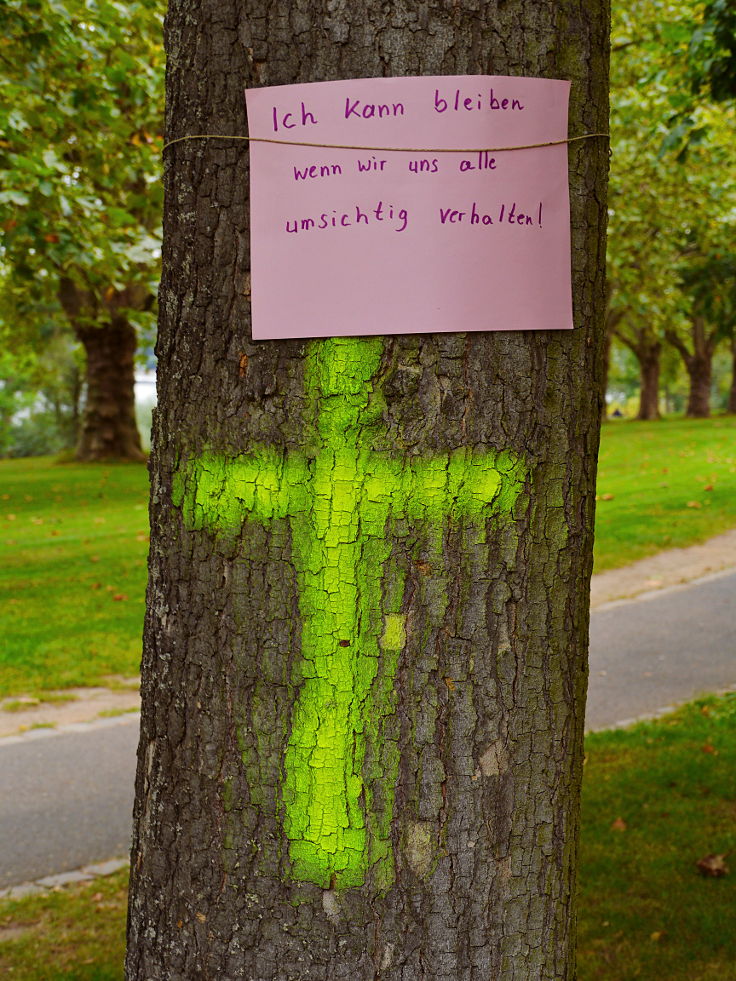 © www.mutbuergerdokus.de: Verbreiterung des Rheinradwegs bei Bonn Beuel