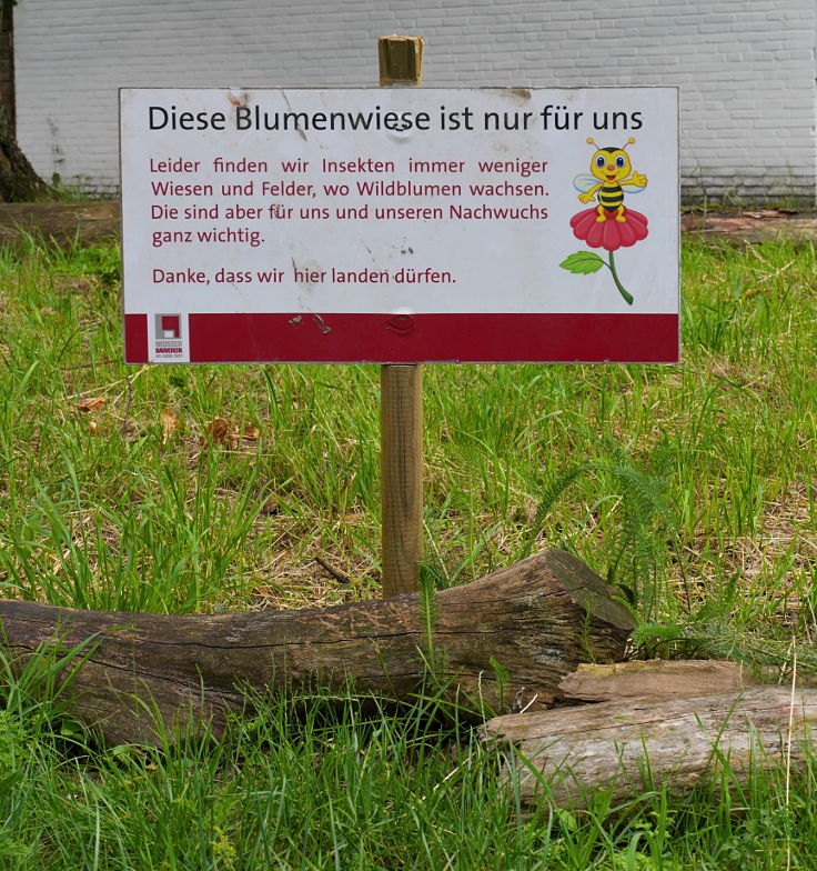 'Diese Blumenwiese ist nur für uns'