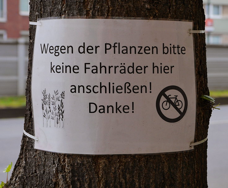 Fahrräder abstellen und das Wohl der Pflanzen