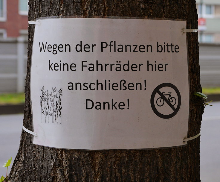 Fahrräder abstellen und das Wohl der Pflanzen