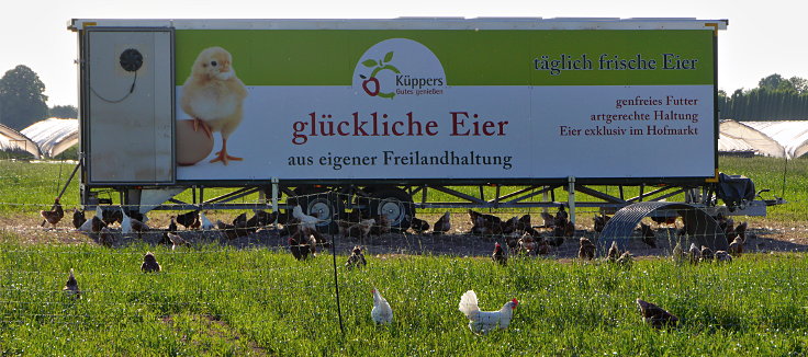 'glückliche Eier aus eigener Freilandhaltung'