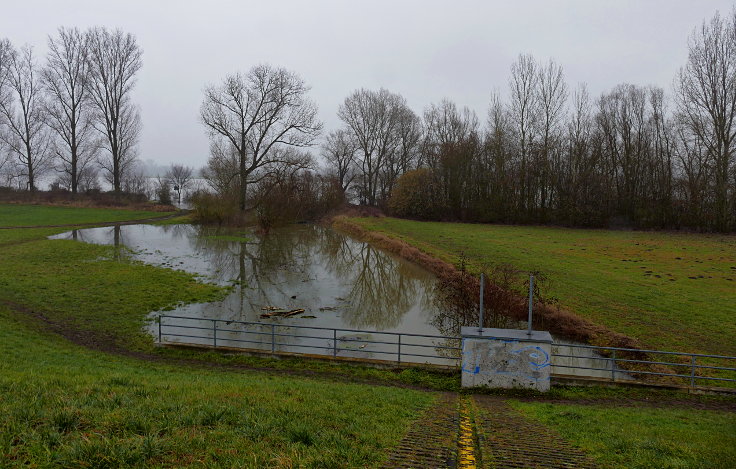 © www.mutbuergerdokus.de: Fundstücke: Hochwasser am Rhein