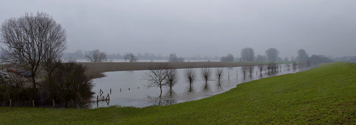 © www.mutbuergerdokus.de: Fundstücke: Hochwasser am Rhein