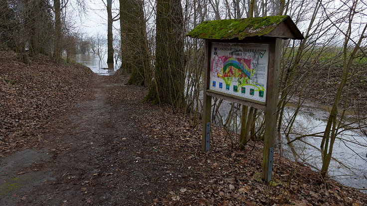 © www.mutbuergerdokus.de: Fundstücke: Hochwasser am Rhein