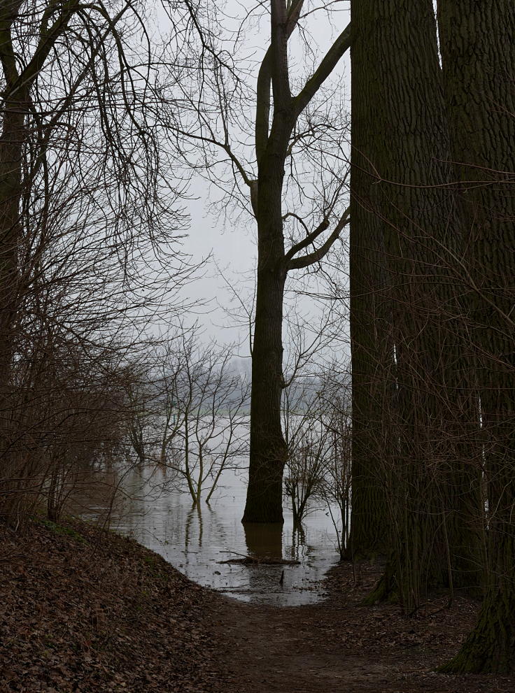 © www.mutbuergerdokus.de: Fundstücke: Hochwasser am Rhein