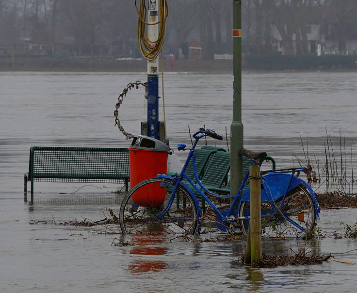 © www.mutbuergerdokus.de: Fundstücke: Hochwasser am Rhein