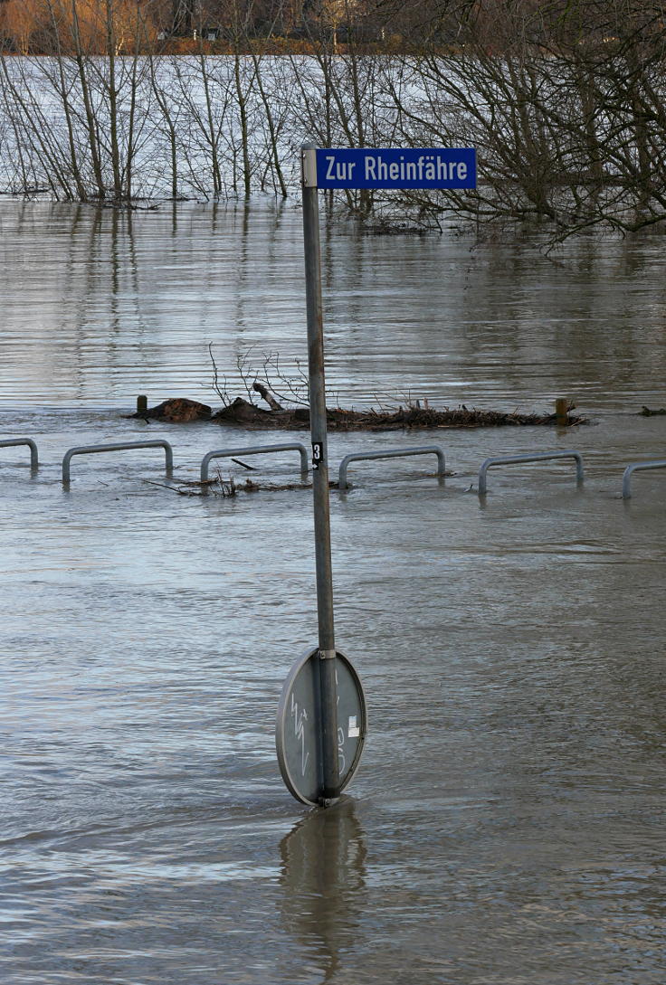 © www.mutbuergerdokus.de: Fundstücke: Hochwasser am Rhein