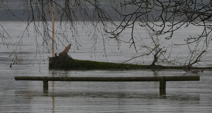 © www.mutbuergerdokus.de: Fundstücke: Hochwasser am Rhein