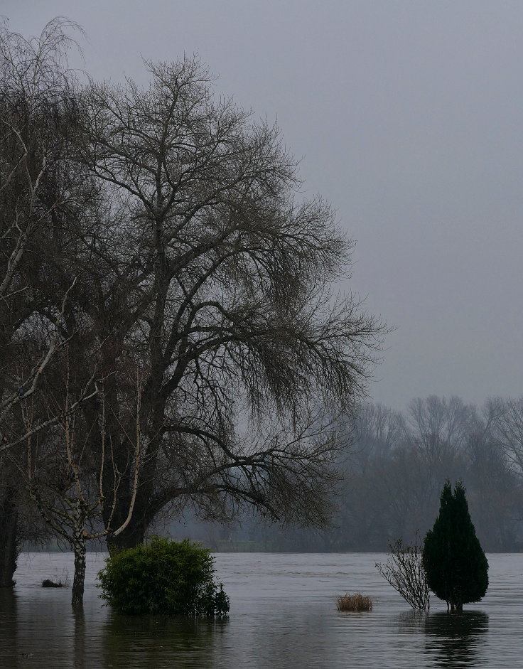 © www.mutbuergerdokus.de: Fundstücke: Hochwasser am Rhein