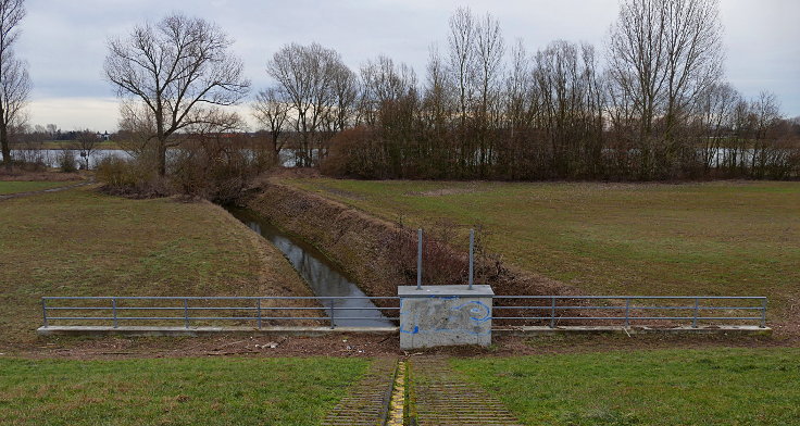 © www.mutbuergerdokus.de: Fundstücke: Hochwasser am Rhein