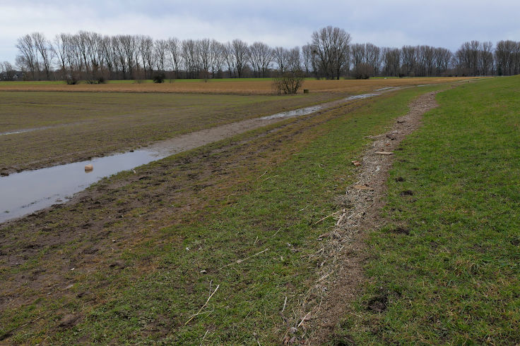 © www.mutbuergerdokus.de: Fundstücke: Hochwasser am Rhein