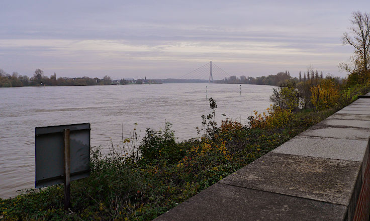 © www.mutbuergerdokus.de: Fundstücke: Hochwasser am Rhein