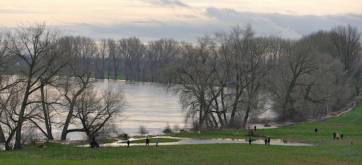© www.mutbuergerdokus.de: Fundstücke: Hochwasser am Rhein
