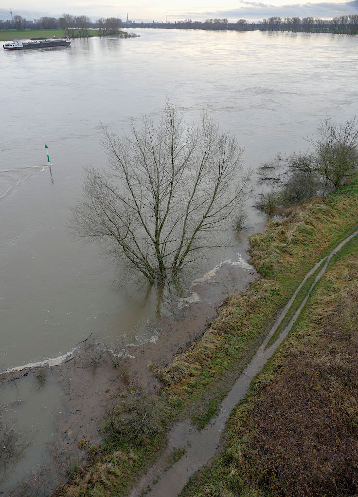 © www.mutbuergerdokus.de: Fundstücke: Hochwasser am Rhein