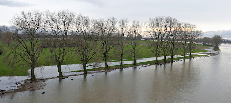 © www.mutbuergerdokus.de: Fundstücke: Hochwasser am Rhein