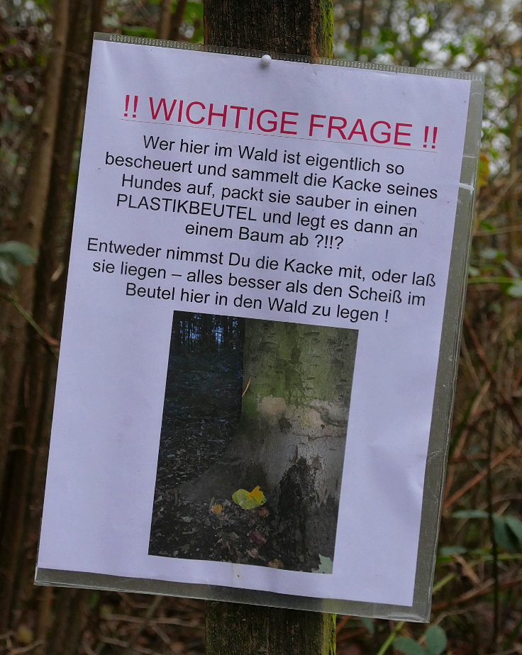 'Hundekacke im Wald'