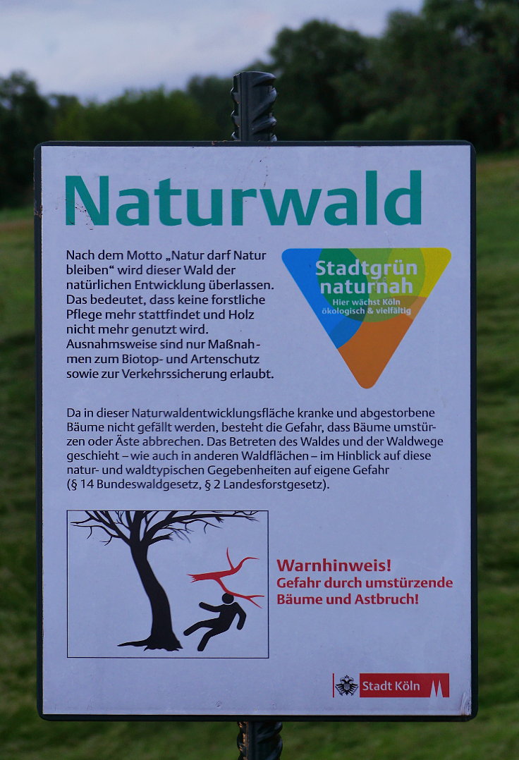 Naturwald Köln