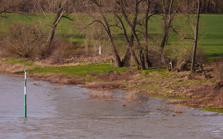 © www.mutbuergerdokus.de: Niedrigwasser am Rhein