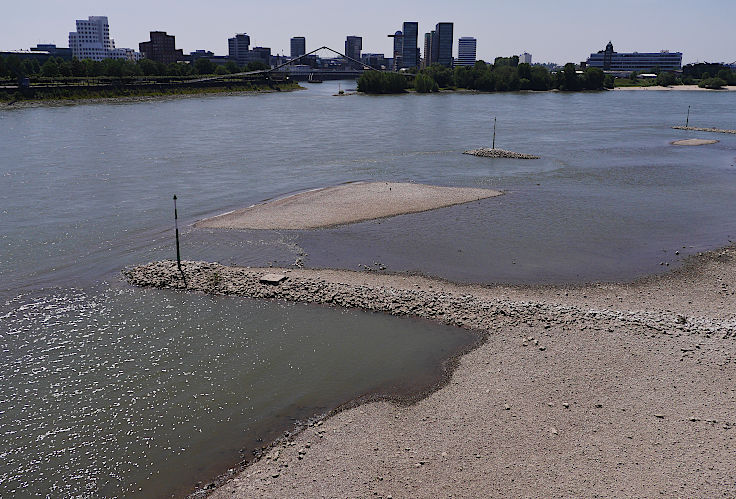 © www.mutbuergerdokus.de: Niedrigwasser am Rhein