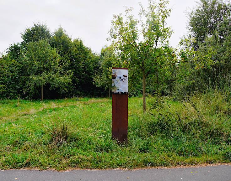 © www.mutbuergerdokus.de: Radschnellwege
