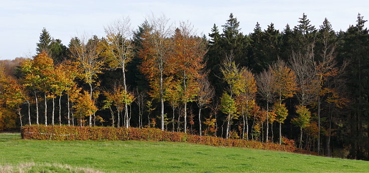 © www.mutbuergerdokus.de: Radschnellwege und Fahrradautobahnen