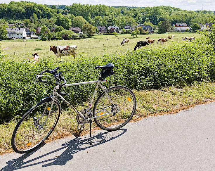 © www.mutbuergerdokus.de: Radschnellwege