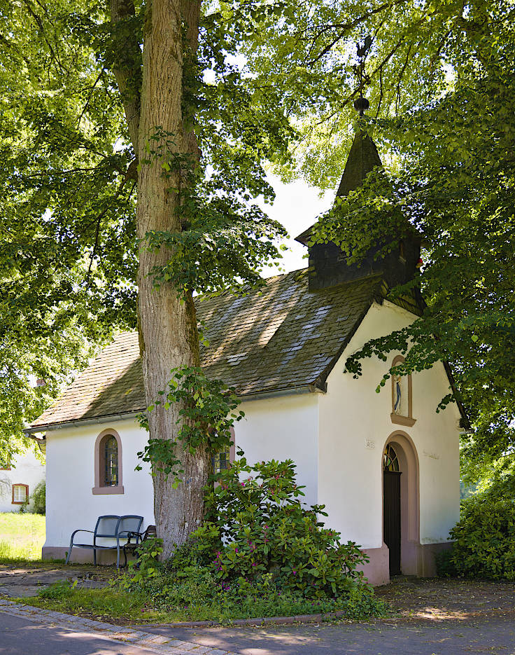 © www.mutbuergerdokus.de: Radschnellwege