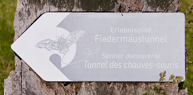© www.mutbuergerdokus.de: Radschnellwege