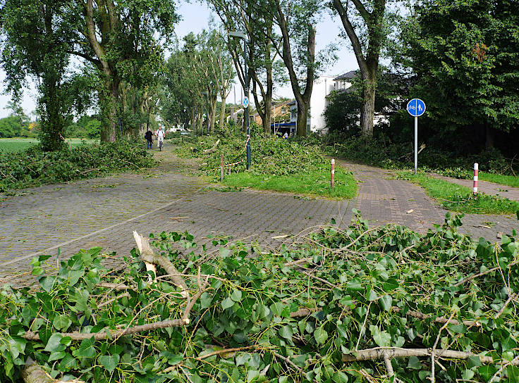 © www.mutbuergerdokus.de: Rückblick 'Pfingstunwetter' (Sturmtief 'Ela')