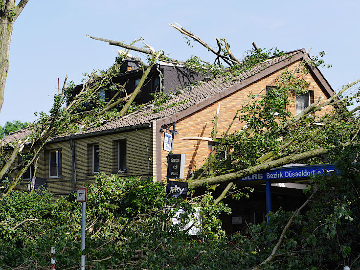 © www.mutbuergerdokus.de: Rückblick 'Pfingstunwetter' (Sturmtief 'Ela')