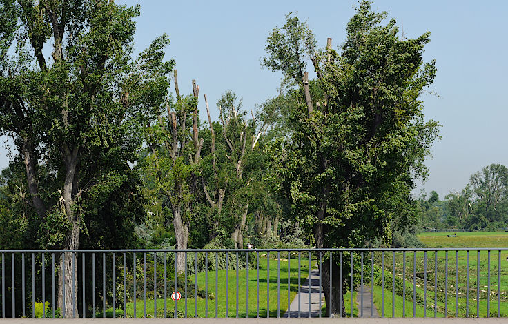 © www.mutbuergerdokus.de: Rückblick 'Pfingstunwetter' (Sturmtief 'Ela')