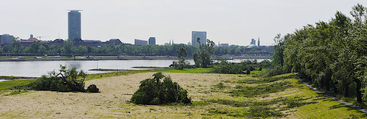 © www.mutbuergerdokus.de: Rückblick 'Pfingstunwetter' (Sturmtief 'Ela')