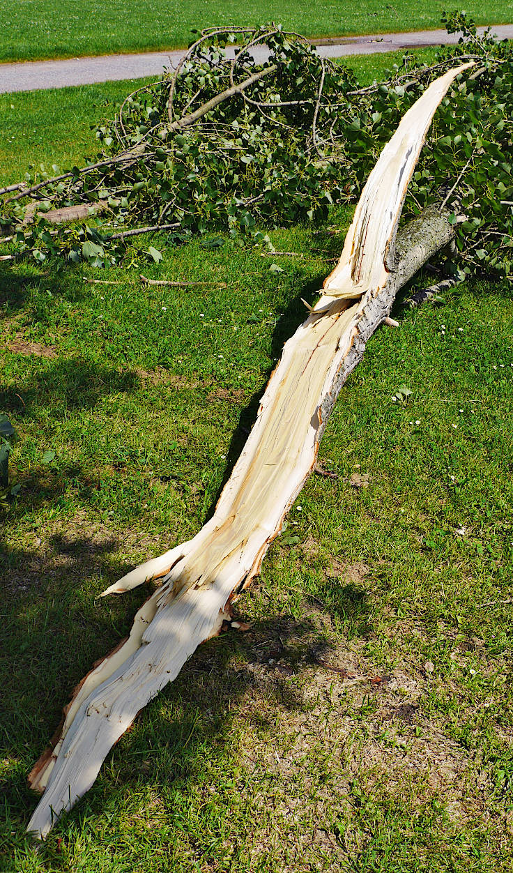 © www.mutbuergerdokus.de: Rückblick 'Pfingstunwetter' (Sturmtief 'Ela')