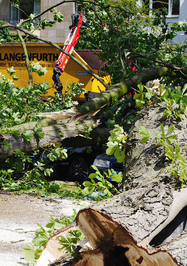 © www.mutbuergerdokus.de: Rückblick 'Pfingstunwetter' (Sturmtief 'Ela')