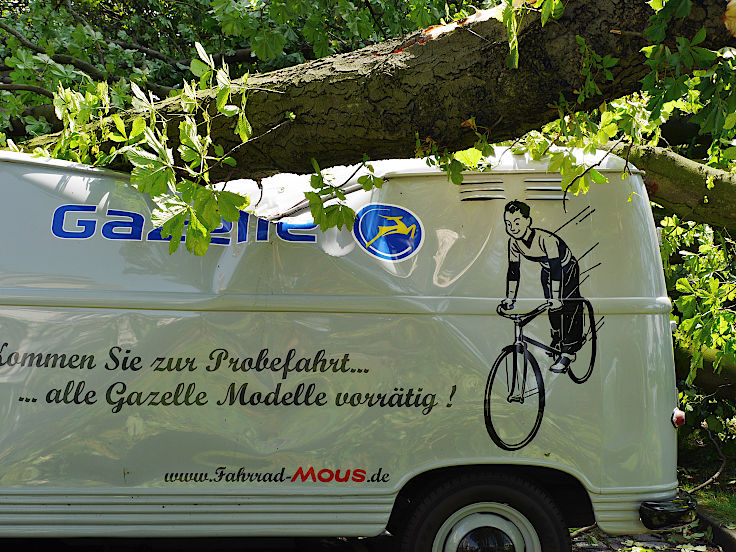 © www.mutbuergerdokus.de: Rückblick 'Pfingstunwetter' (Sturmtief 'Ela')
