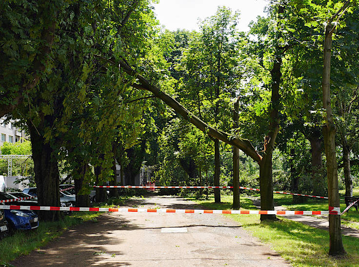© www.mutbuergerdokus.de: Rückblick 'Pfingstunwetter' (Sturmtief 'Ela')