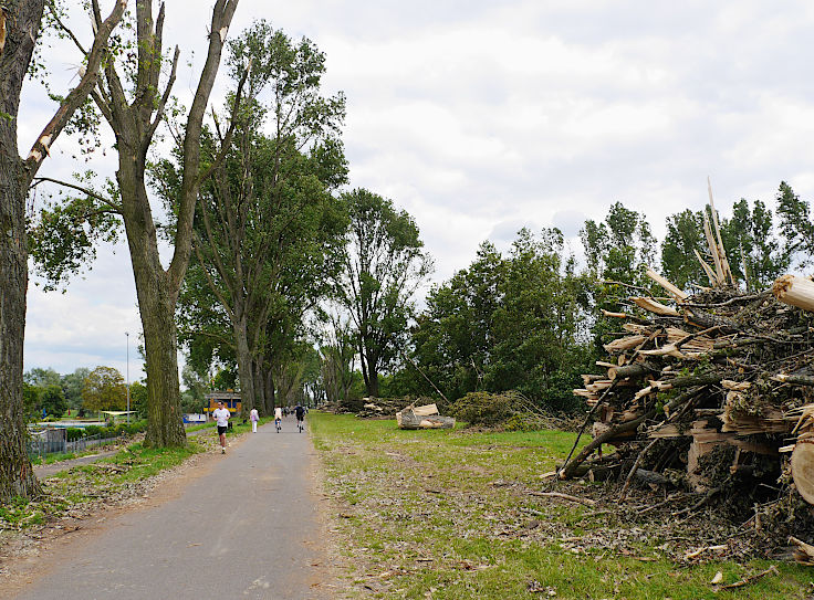 © www.mutbuergerdokus.de: Rückblick 'Pfingstunwetter' (Sturmtief 'Ela')