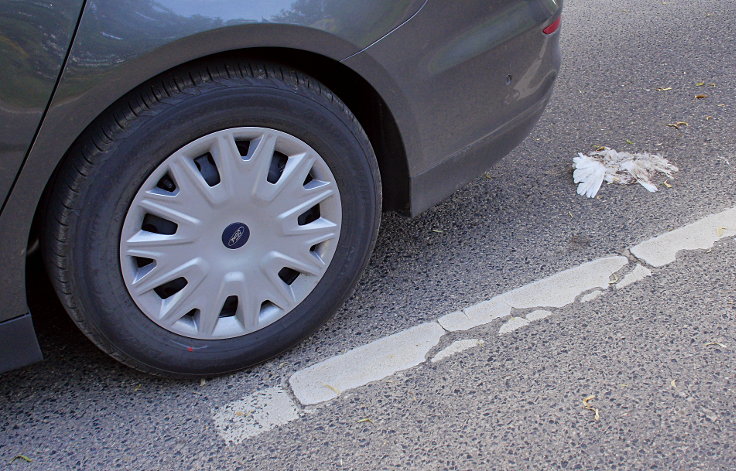 © www.mutbuergerdokus.de: Fundstücke: Tieropfer im Straßenverkehr